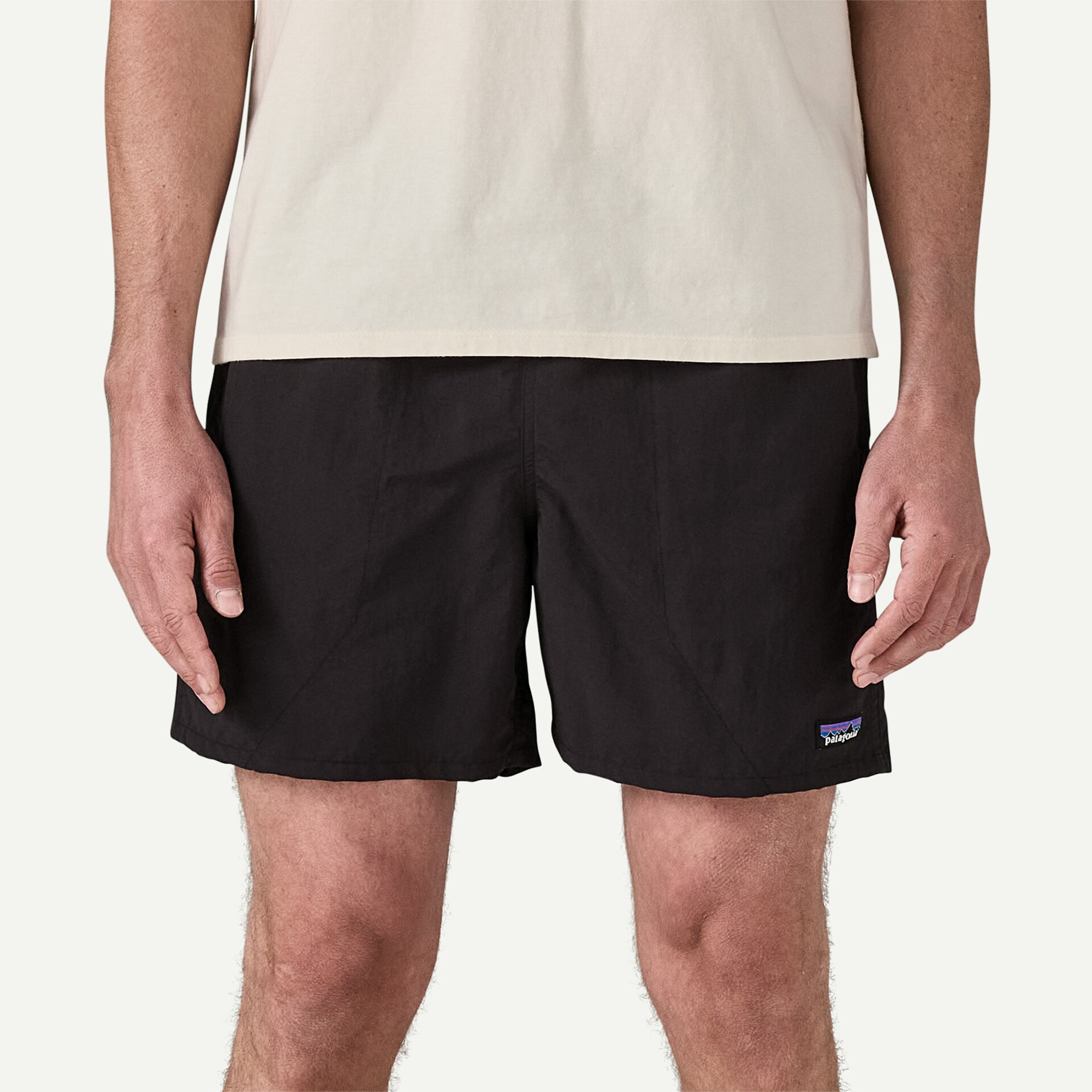 (Lサイズ)Baggies Shorts 5 inch Men's