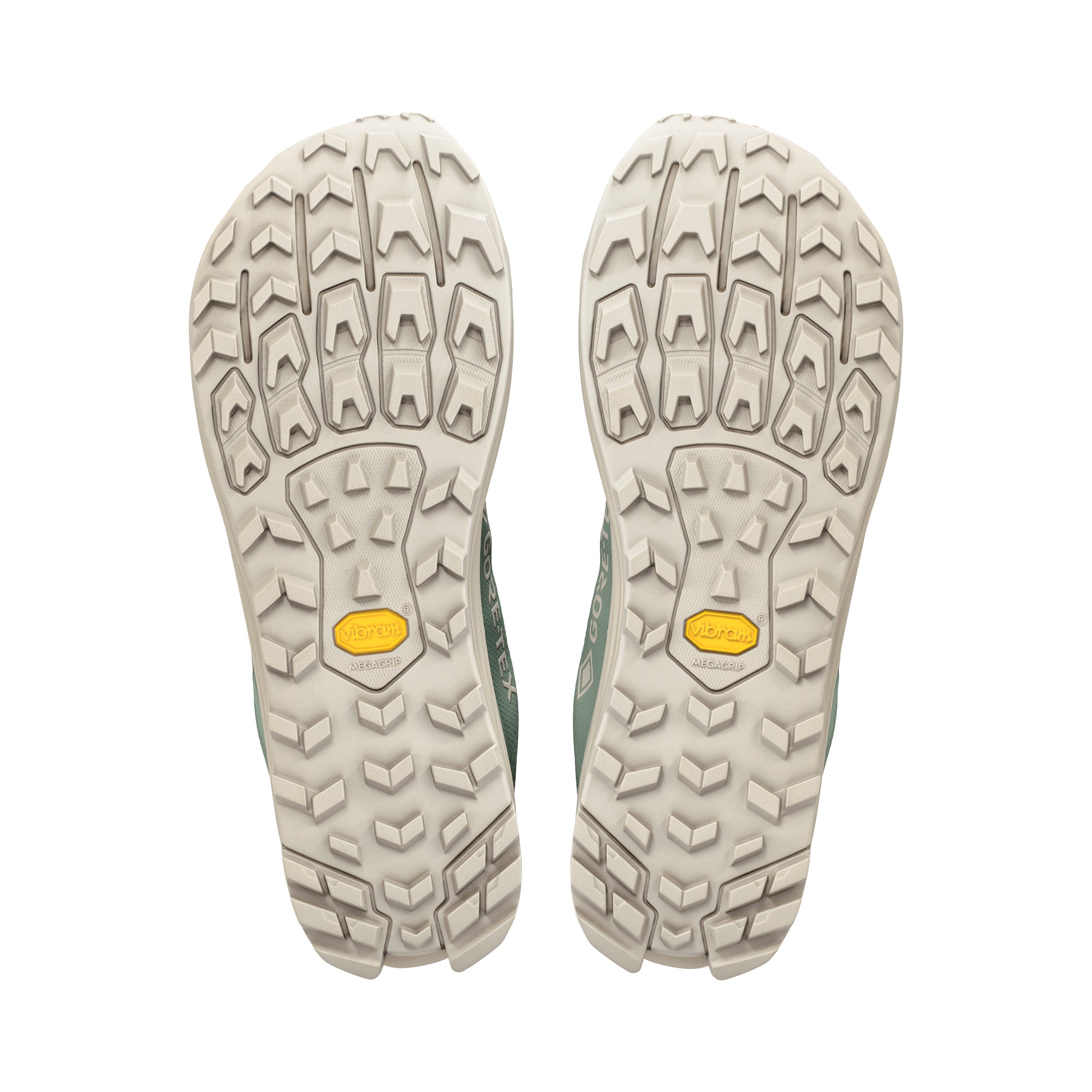 LONE PEAK 9+ GTX Men's ※サイズ交換片道無料