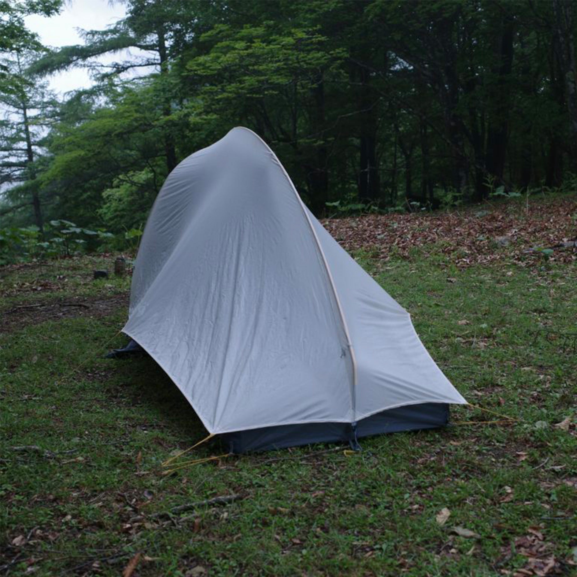 NIMBUS UL 1 TENT