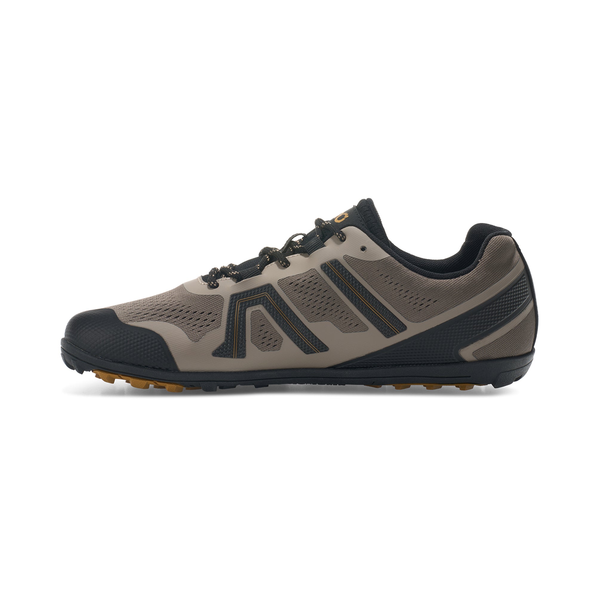 Mesa Trail 2 Men's ※サイズ交換片道無料