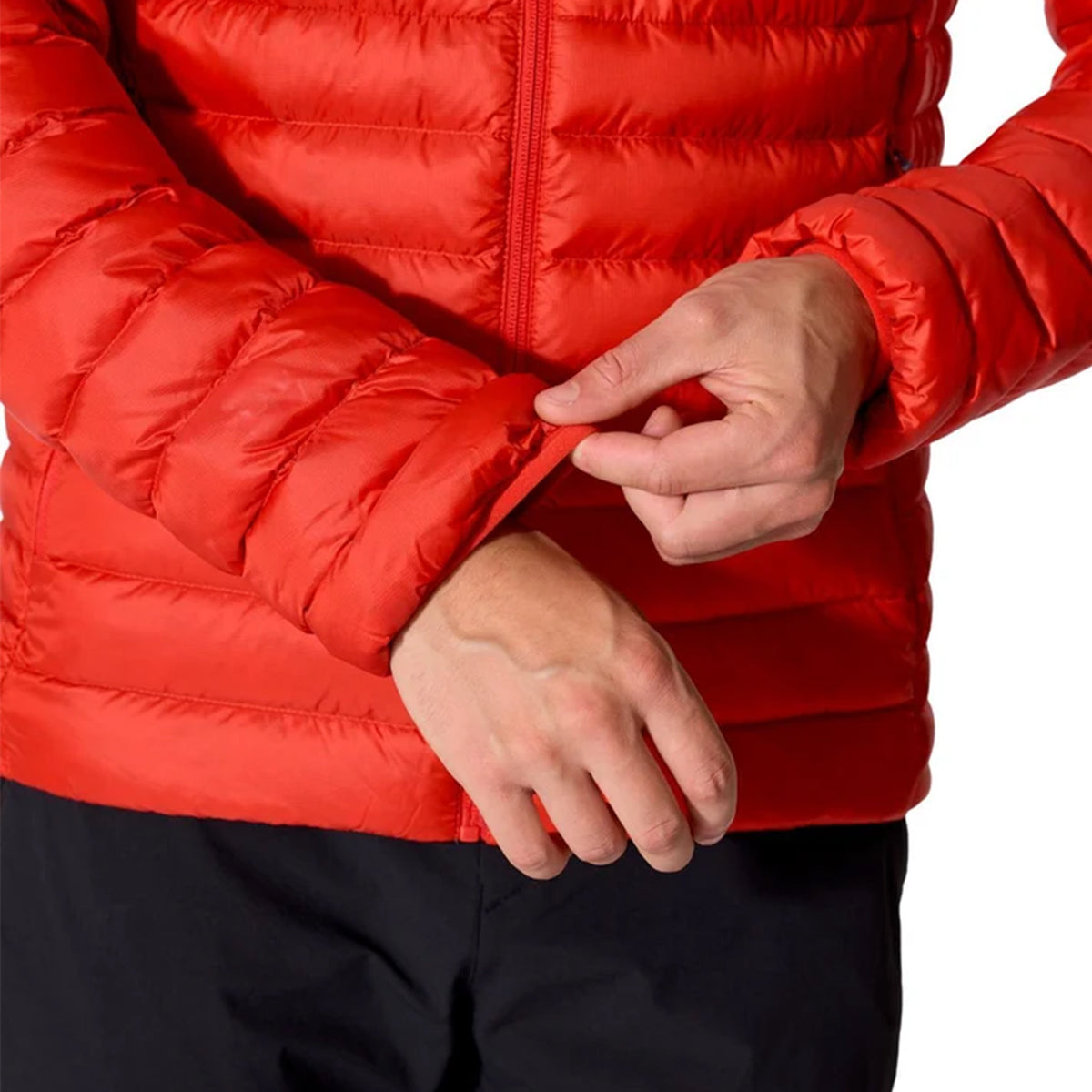 Microlight Alpine Hoody Men's