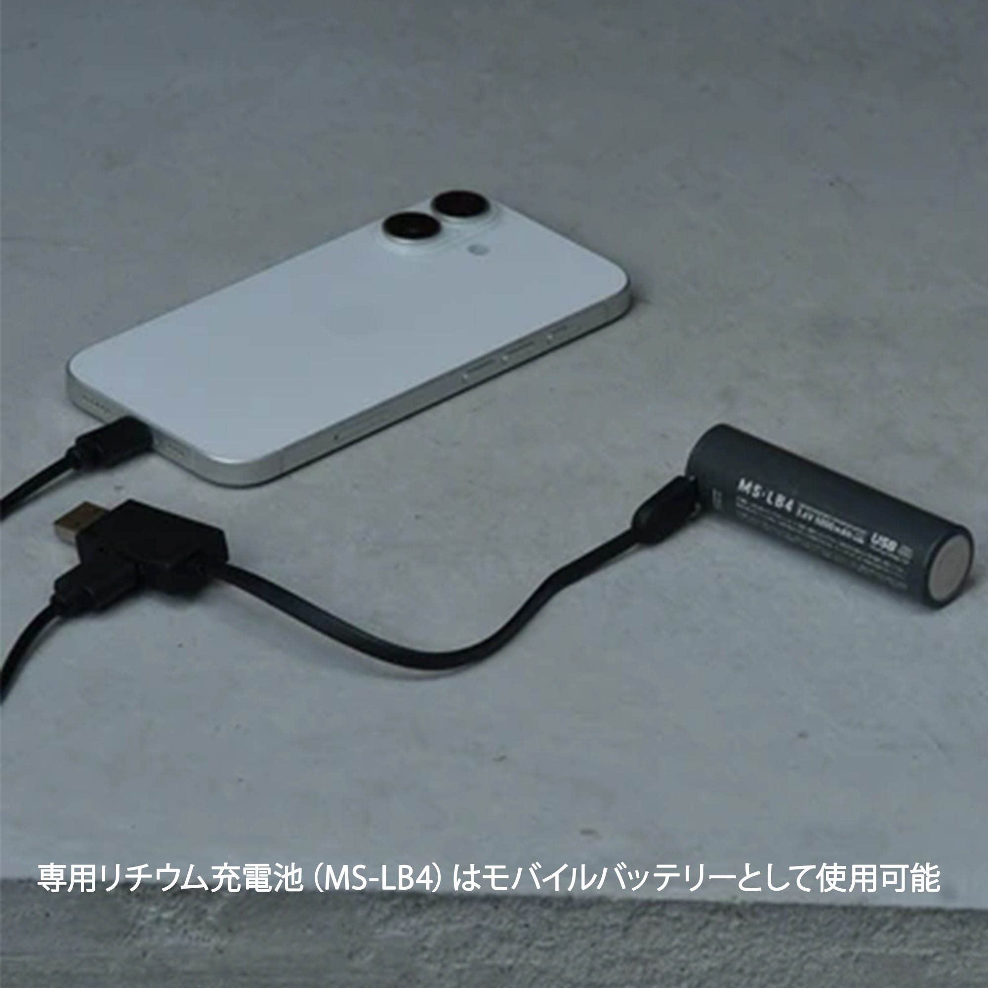 MS-i2 Endurance PRO