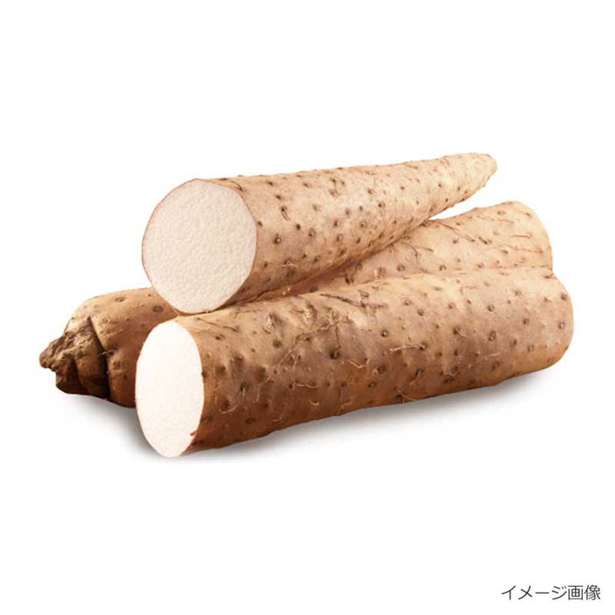 フリーズドライ 国産長芋とろろ